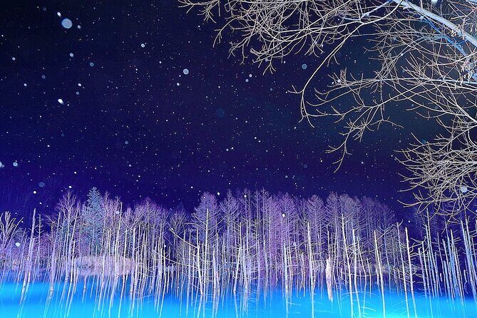 [Late Departure] Biei Best 5 Must-Visit Day Tour from Sapporo - Key Points