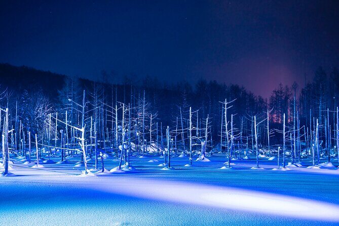 [Late Departure] Biei Best 5 Must-Visit Day Tour from Sapporo - Price and Value Analysis