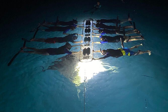 Late Night Manta Snorkel - Who Should Consider This Tour?