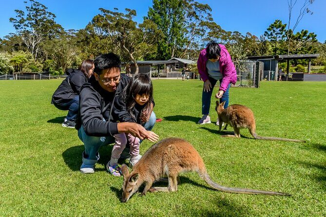 Late Start Blue Mountains Nature, Waterfalls, Koalas Small Group - Who Is This Tour Best For?