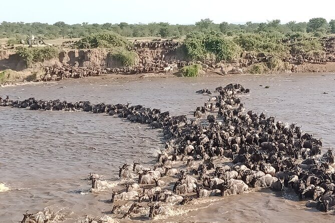 Latest Updates On The Top Best 3 day Serengeti Migration Safari - Key Points