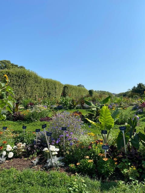 latin-quarter-highlights-walking-tour-top-rated-max-8ppl