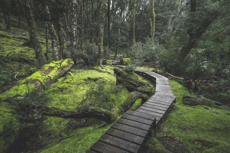 Launceston: 2-Day Overnight Cradle Mt & Wineglass Bay Tour - Final Thoughts