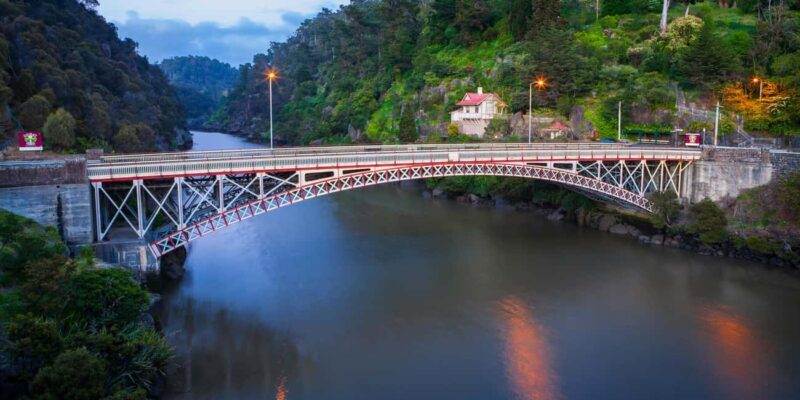 Launceston: Cataract Gorge Adventure Cruise Open Ticket - What Makes This Cruise Stand Out?