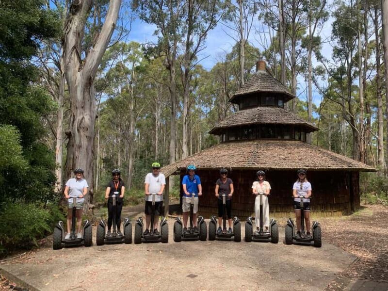 Launceston: Hollybank Forest Guided Segway Tour with Photos - Key Points