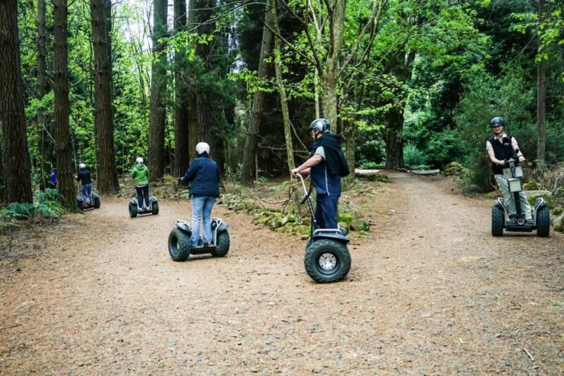 Launceston: Hollybank Forest Guided Segway Tour with Photos - Who Will Enjoy This Tour?