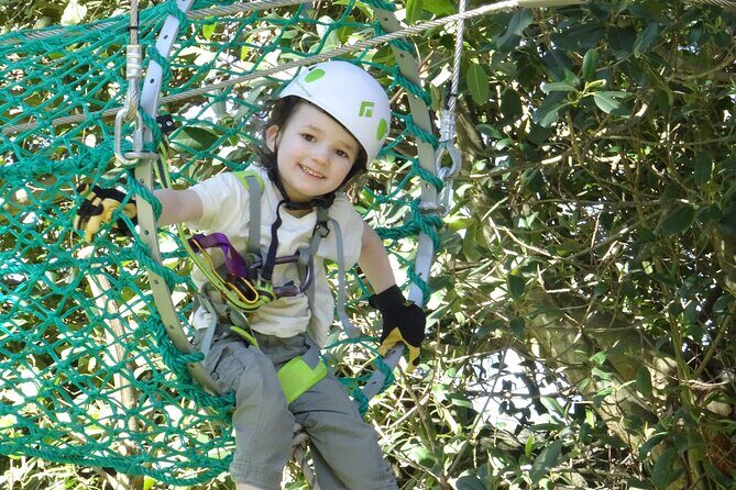 Launceston Hollybank Junior Tree Ropes Course - What to Expect from the Hollybank Junior Tree Ropes Course