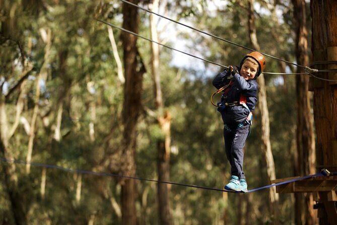 Launceston Hollybank Junior Tree Ropes Course - What Reviewers Are Saying (Based on Available Feedback)