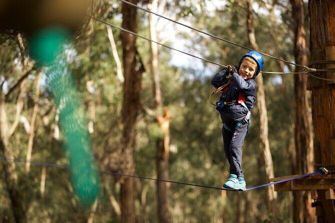 Launceston Hollybank Junior Tree Ropes Course - Why Choose This Experience?