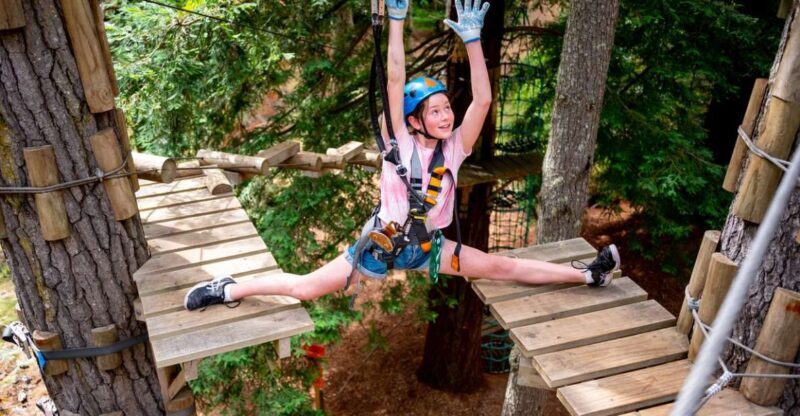 Launceston: Hollybank Tree Ropes Course - Introduction  