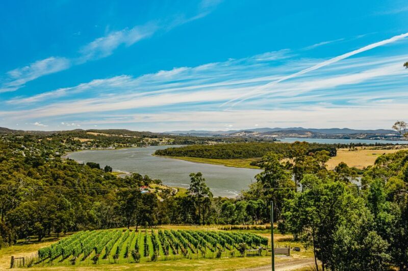 Launceston: Tamar Valley Wine Tour with Lunch - Key Points