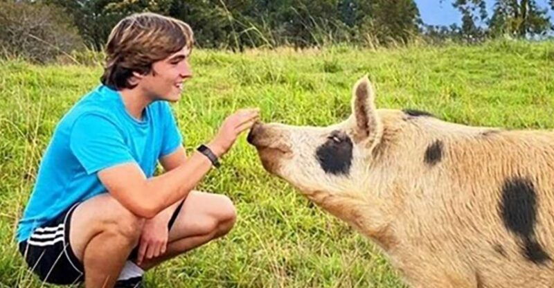 laupahoehoe-farm-animal-sanctuary-private-tour