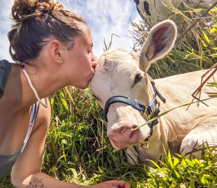laupahoehoe-farm-animal-sanctuary-private-tour