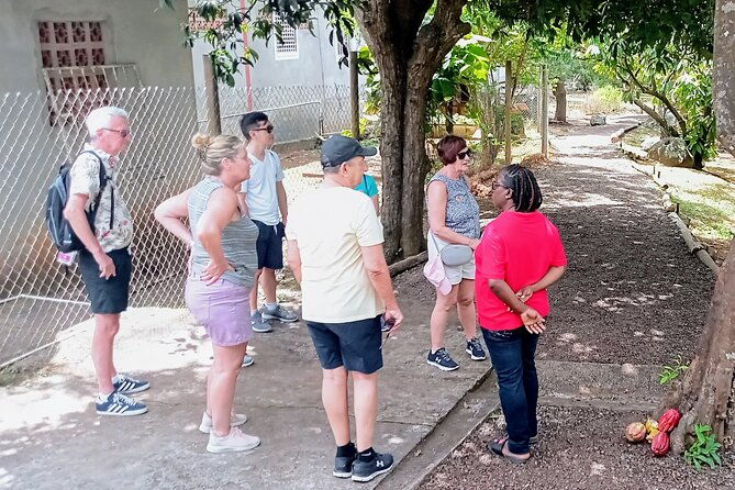 lauras-herb-spice-garden-tour