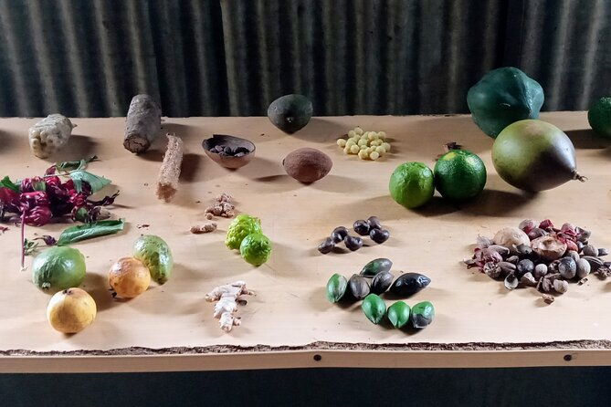 lauras-herb-spice-garden-tour