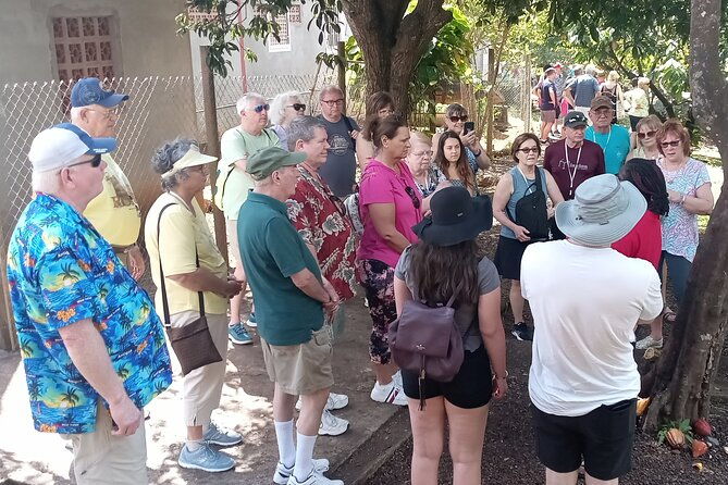 lauras-herb-spice-garden-tour