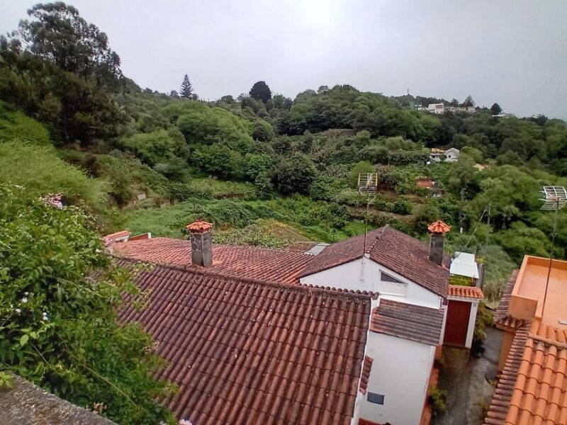 laurisilva-forest-hiking-and-canarian-cider-tasting