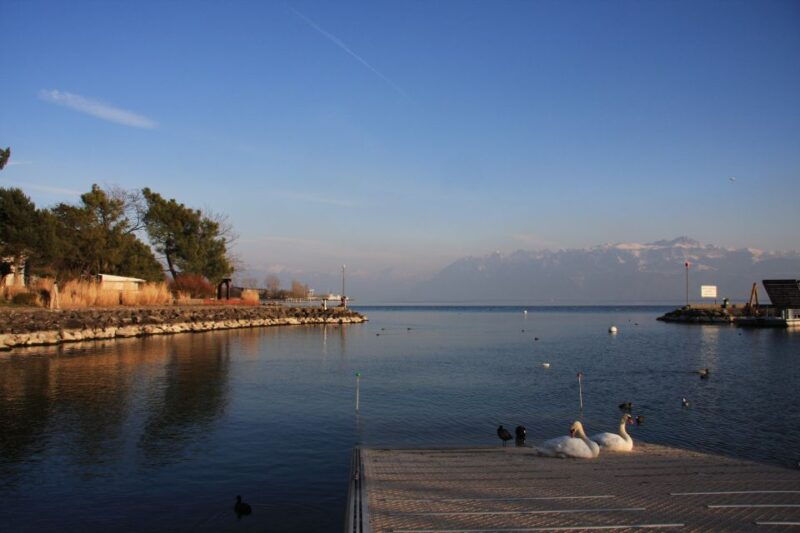 Lausanne, Montreux and Chillon: Private Trip from Geneva - Who Will Enjoy This Tour?