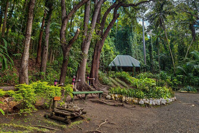 Lautoka Orchids & Village Life: Private Shore Tour 4 Hours - Final Thoughts