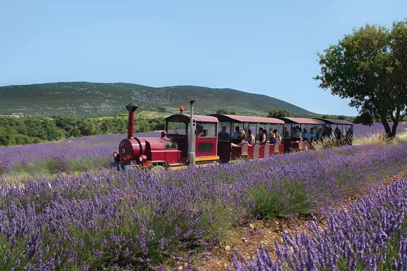 Lavande Guided Tour And Live Distillation - What We Love About This Tour