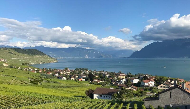 Lavaux: Vineyard Experience - Introduction