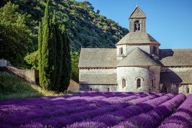 lavender-beauty-small-group-half-day-tour-from-avignon