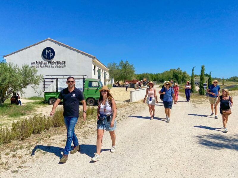 Lavender Field & Distillery Tour between Nimes & Arles - Discover the Charm of Provence’s Lavender & Aromatic Plants with a Guided Distillery Tour