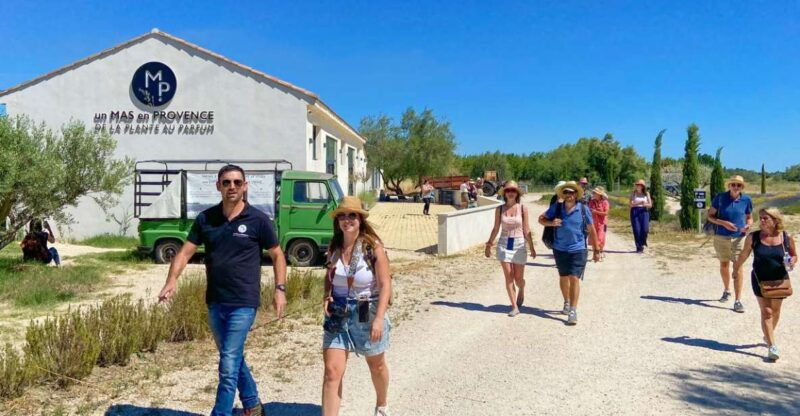Lavender Field & Distillery Tour between Nimes & Arles - The Value of This Tour