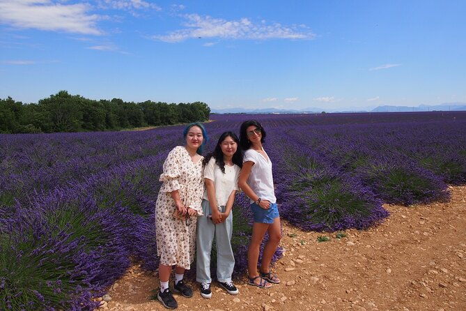 lavender-fields-tour-in-valensole-from-marseille