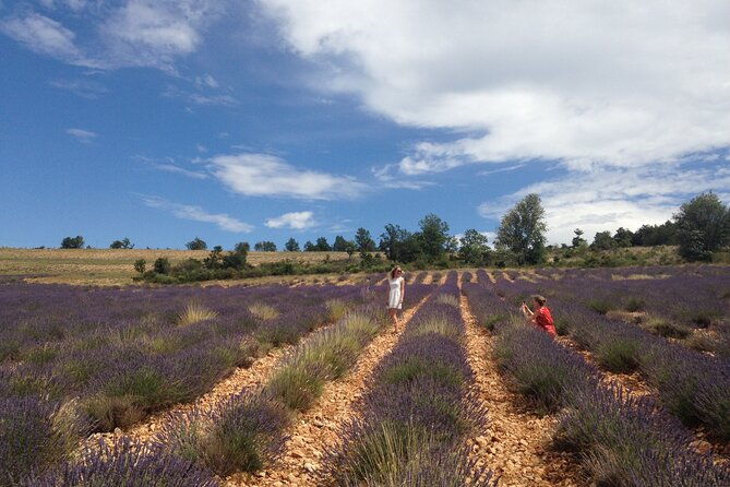 lavender-full-day-tour-in-sault-from-aix-en-provence