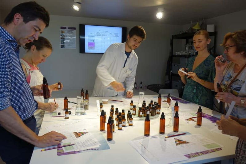 Lavender Mist Workshop - Key Points