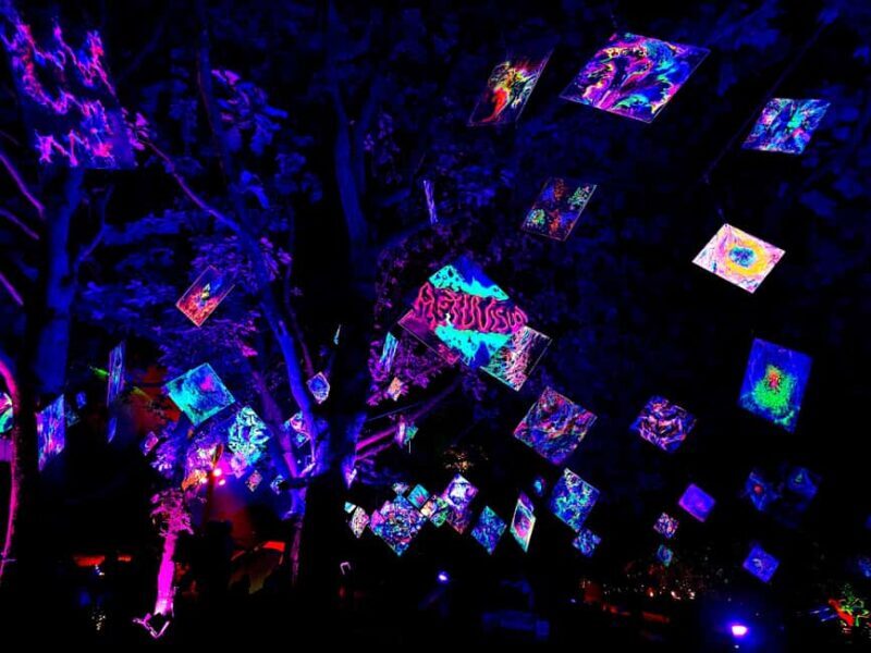 Laxenburg Castle Park: ILLUMINA Austria's largest light garden - ticket - Overview of the Light Garden Experience