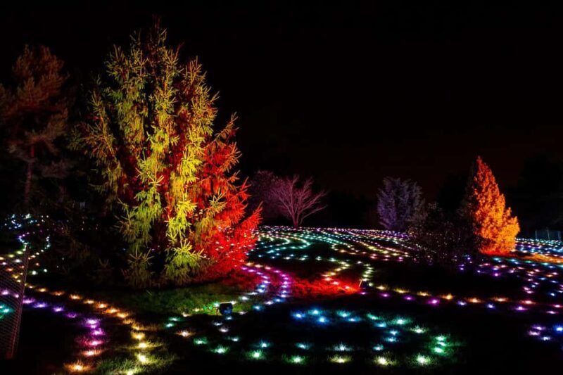 Laxenburg Castle Park: ILLUMINA Austria's largest light garden - ticket - The Experience from a Visitor’s Perspective