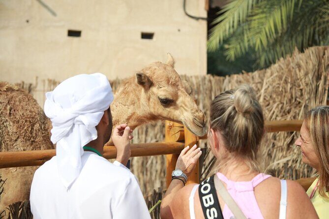 Layover & Stopover Tours in Dubai - Final Thoughts