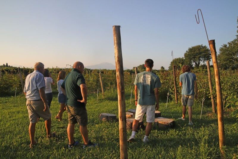 lazise-beekeeping-farm-tour-and-tasting-experience