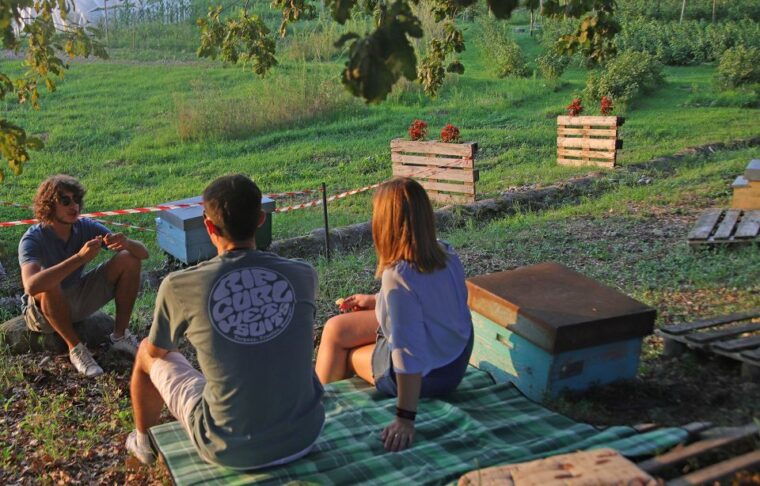 lazise-beekeeping-farm-tour-and-tasting-experience
