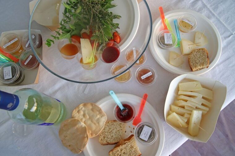 lazise-beekeeping-farm-tour-and-tasting-experience