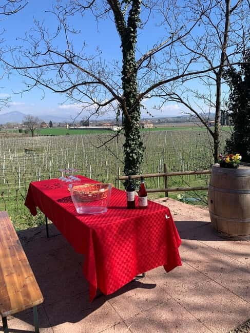 Lazise: Biodynamic Farm Tour and Natural Wine Tasting - Key Points