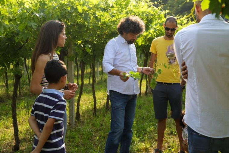 lazise-biodynamic-farm-tour-and-natural-wine-tasting