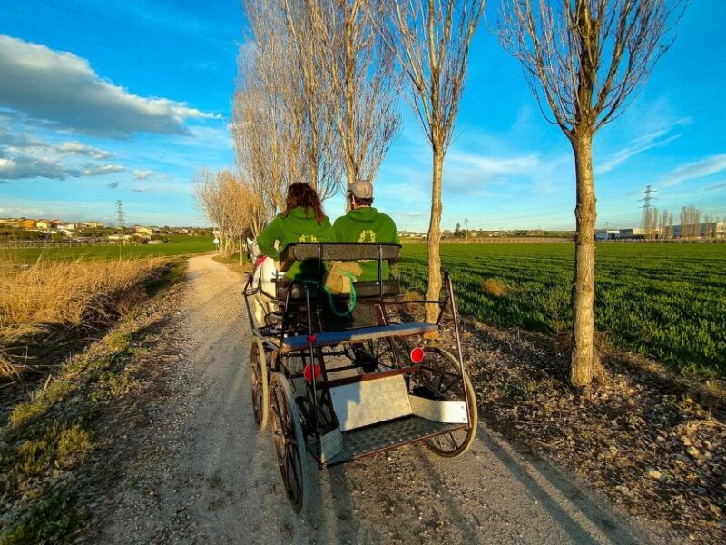 lazise-horse-carriage-tour-with-tasting-of-local-products
