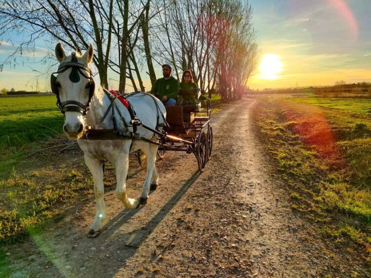 lazise-horse-carriage-tour-with-tasting-of-local-products