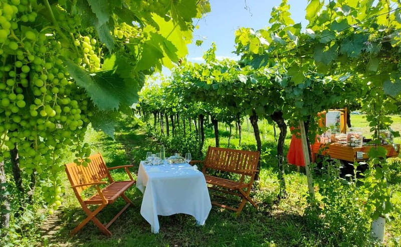 Lazise: Horseback Riding and Farm Picnic local food - An In-Depth Look at the Lazise Horseback & Farm Picnic Tour