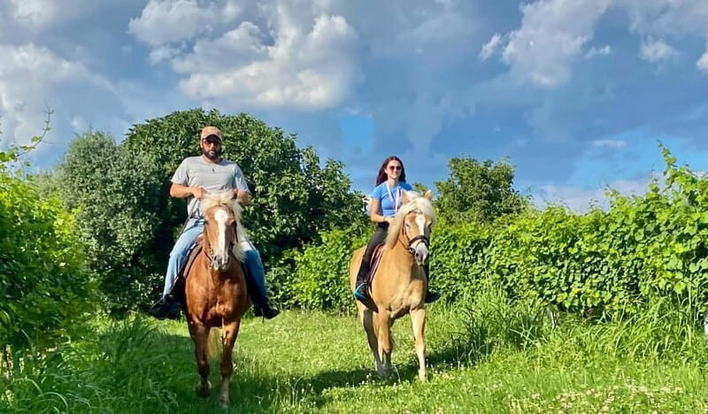 Lazise: Horseback Riding and Farm Picnic local food - Final Thoughts