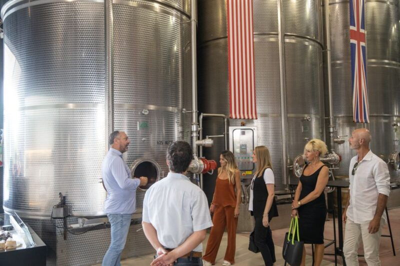 lazise-vineyard-tour-and-organic-wine-tasting