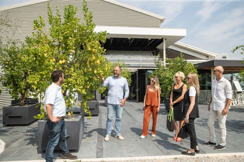 lazise-vineyard-tour-and-organic-wine-tasting