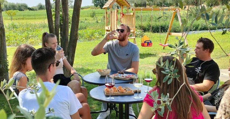 lazise-wine-tasting-with-charcuterie-and-cheese-board