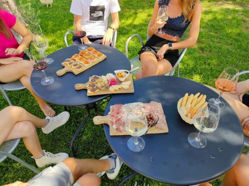 lazise-wine-tasting-with-charcuterie-and-cheese-board