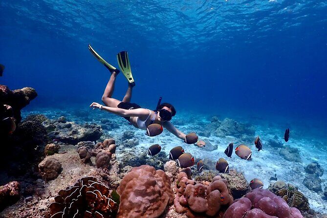 Lazy Similan Islands Marine Journey by Speedboat from Phuket - The Experience from the Traveler’s Perspective