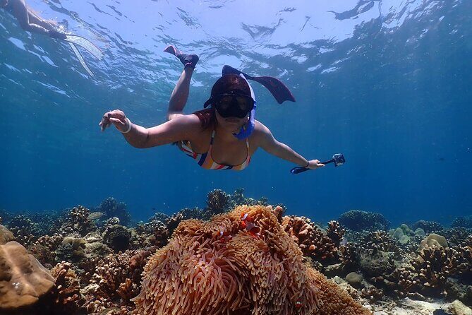 Lazy Similan Snorkeling by Speed Catamaran from Phuket - Final Thoughts