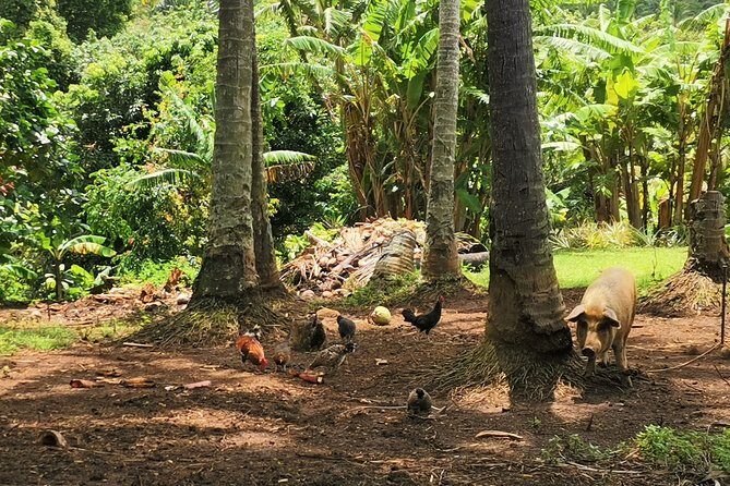 'Lazy Sunday' Sunday Bicycle Tour - Key Points